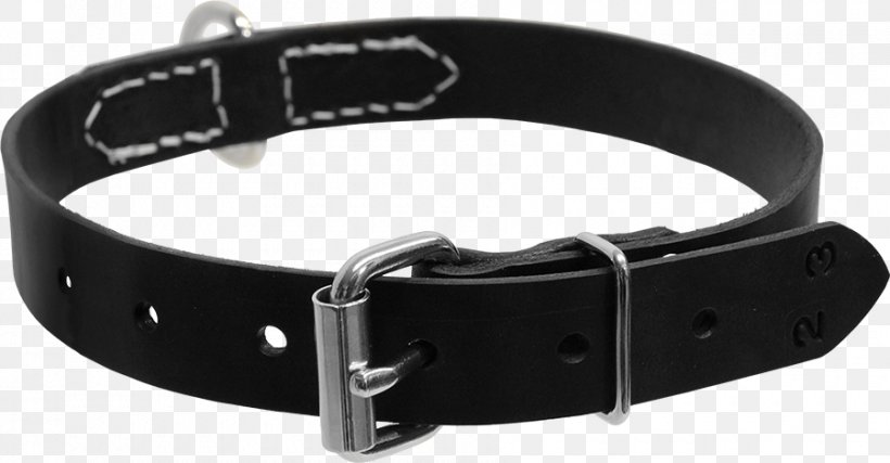 Dog Collar D-ring Leash, PNG, 900x469px, Dog, Activedogscom, Belt, Belt Buckle, Belt Buckles Download Free