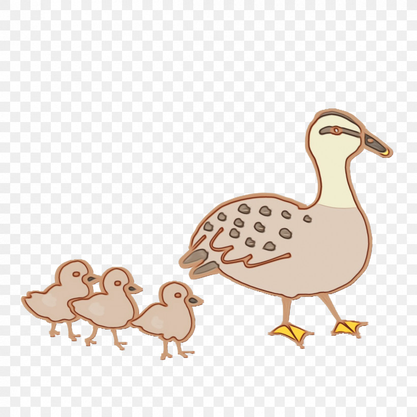 Duck Chicken Birds Flightless Bird Beak, PNG, 1200x1200px, Watercolor, Beak, Biology, Birds, Cartoon Download Free
