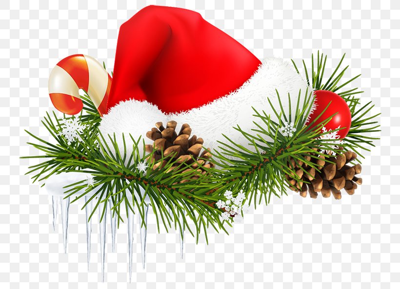 Santa Claus Christmas Tree, PNG, 768x594px, Santa Claus, Branch, Christmas, Christmas Decoration, Christmas Ornament Download Free