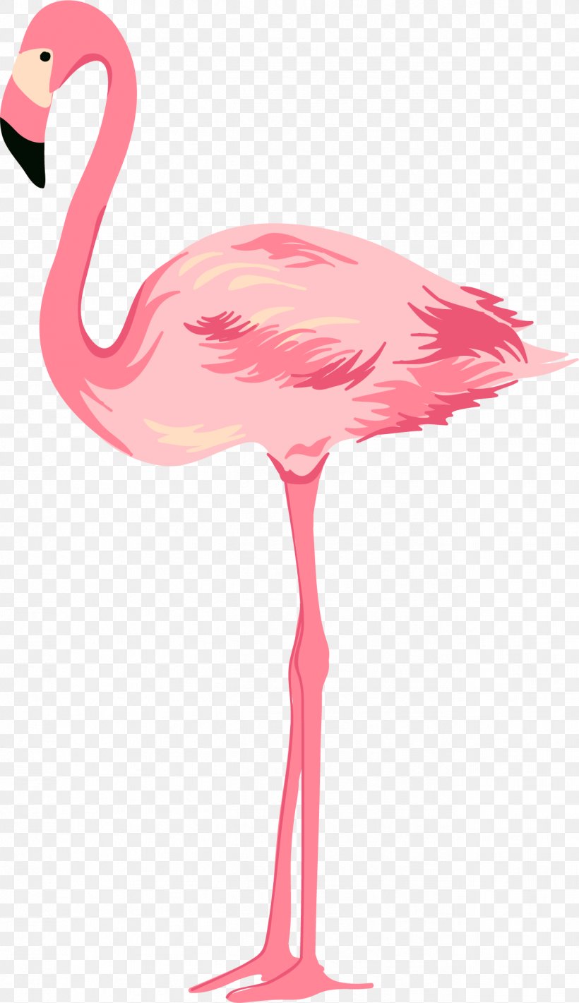 Cygnini Pink, PNG, 1301x2255px, Cygnini, Beak, Bird, Designer, Feather Download Free