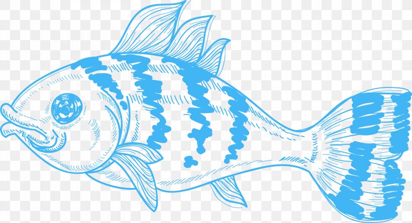 Fish Shark Marine Biology Clip Art, PNG, 3000x1628px, Fish, Animal, Blue, Drawing, Electric Blue Download Free