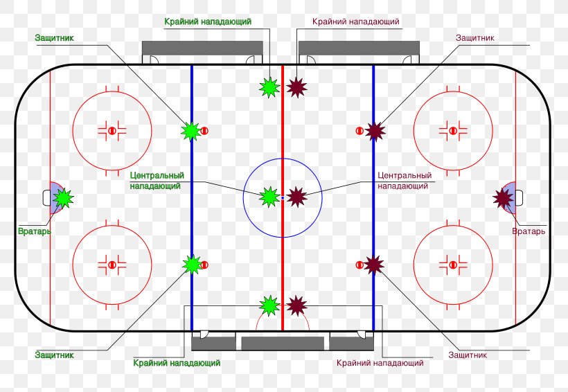 Ice Hockey Rules Hockey Field Hockey Puck Field Hockey, PNG, 800x566px, Watercolor, Cartoon, Flower, Frame, Heart Download Free