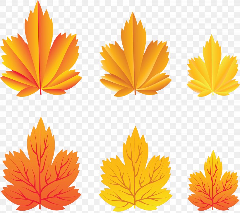 Autumn Leaves Leaf Clip Art, PNG, 6421x5697px, Autumn Leaves, Autumn, Calendula, Cdr, Chrysanths Download Free