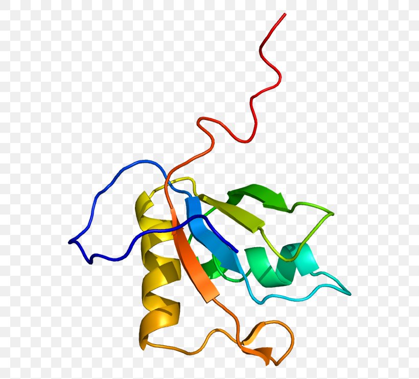 MATR3 Protein Gene Nuclear Matrix Chromosome 5, PNG, 606x742px, Watercolor, Cartoon, Flower, Frame, Heart Download Free