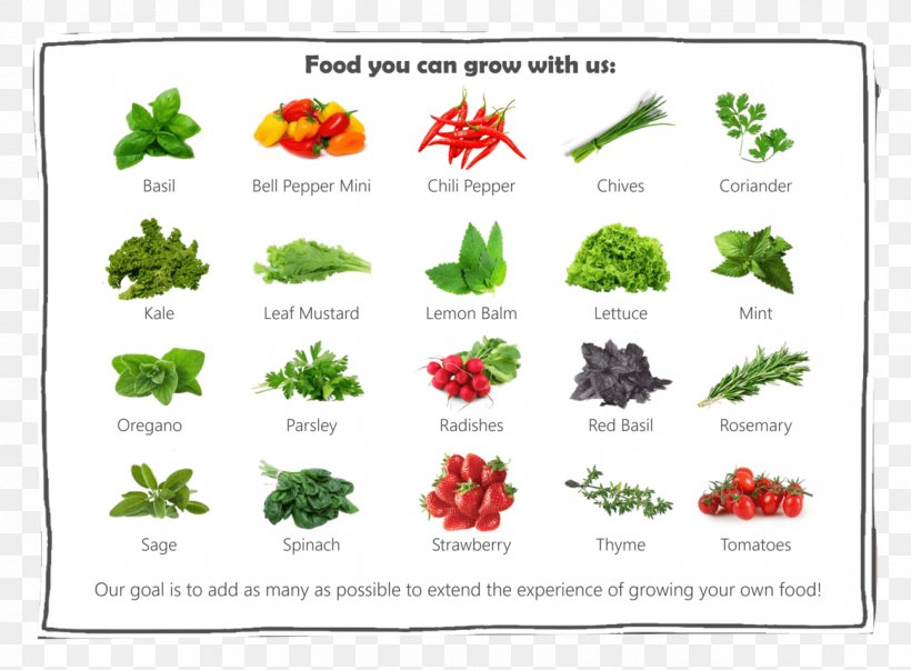 Does This Feel Familiar? Garden Gnome Food Plant, PNG, 1296x954px, Garden Gnome, Area, Basil, Flora, Flower Download Free