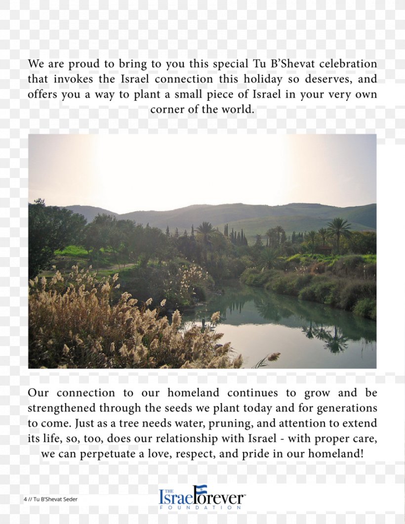 Keyword Tool Water Resources Information Text, PNG, 900x1164px, Keyword Tool, Brochure, Business, Crop, Culture Download Free