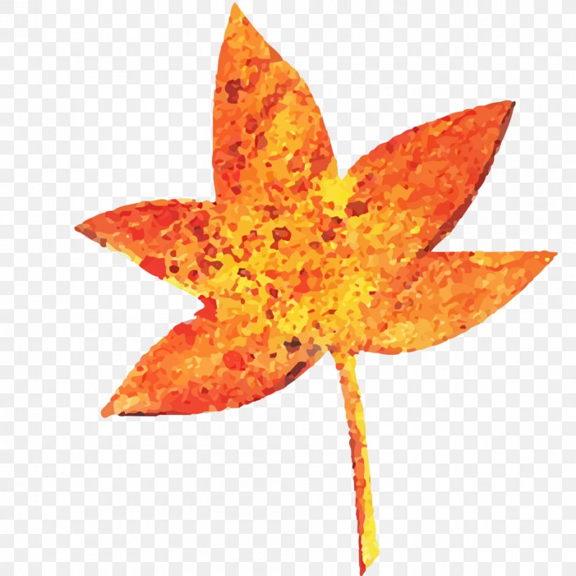 Maple Leaf Red Maple, PNG, 945x945px, Leaf, Autumn, Deciduous, Drawing, Halloween Download Free