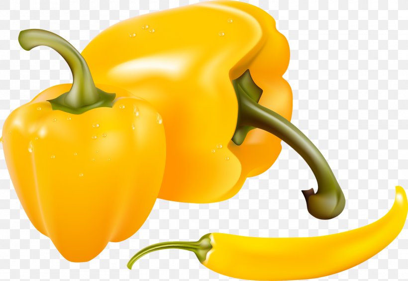 Mexican Cuisine Chili Pepper Capsicum Bell Pepper, PNG, 1500x1033px, Mexican Cuisine, Banana Pepper, Bell Pepper, Bell Peppers And Chili Peppers, Capsicum Download Free