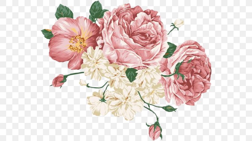 Peony Drawing Clip Art, PNG, 560x459px, Peony, Artificial Flower, Cut Flowers, Drawing, Floral Design Download Free