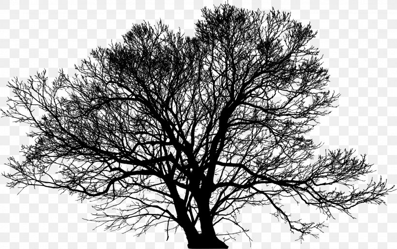 Tree Silhouette Arborist Branch, PNG, 2290x1438px, Tree, Arborist, Black And White, Branch, Landscape Download Free