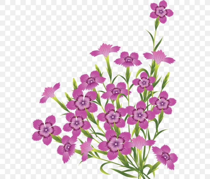 Flower Desktop Wallpaper Floral Design Clip Art, PNG, 572x699px, Flower, Annual Plant, Cut Flowers, Dianthus, Flora Download Free