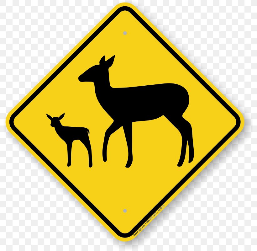 Mule Deer Antler Traffic Sign Illustration, PNG, 800x800px, Deer, Antler, Black And White, Cartoon, Child Download Free