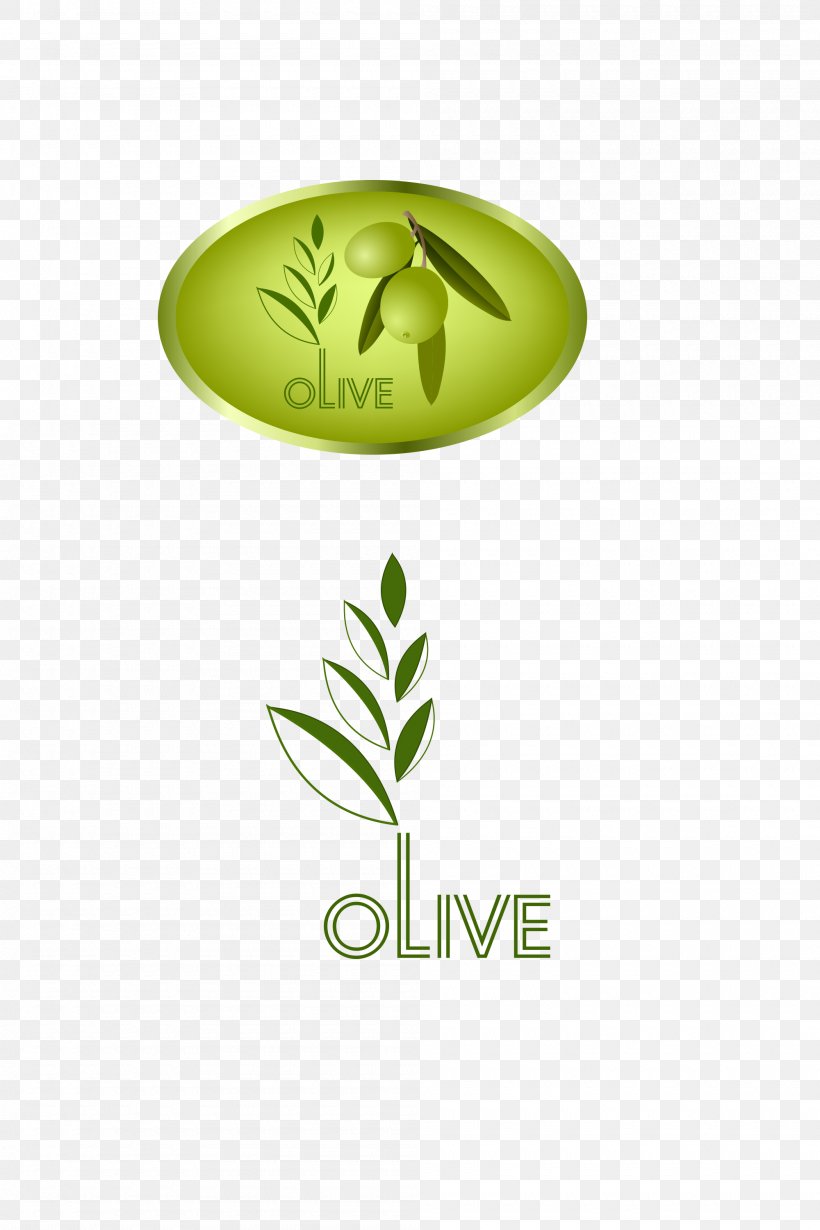 Olive Leaf Icon, PNG, 2000x3000px, Olive, Brand, Fruit, Green, Leaf Download Free