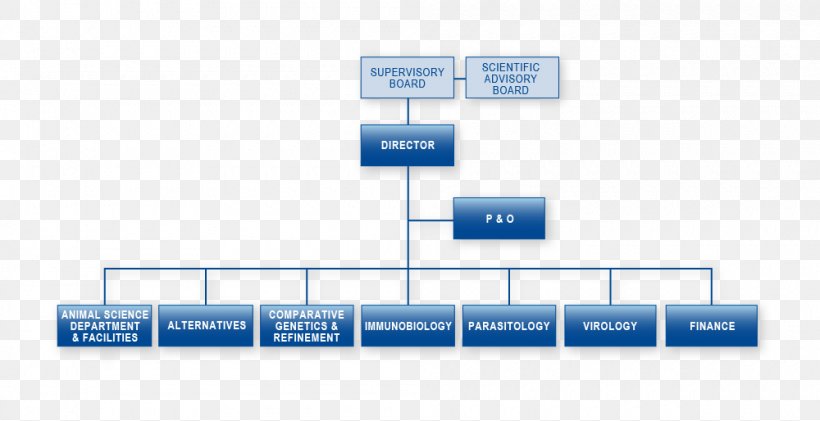 Organizational Chart Solicitor General Of Brazil Procuradoria-Geral Federal Public Procuracy Of Brazil, PNG, 1000x514px, Organization, Brand, Chart, Diagram, Empresa Download Free