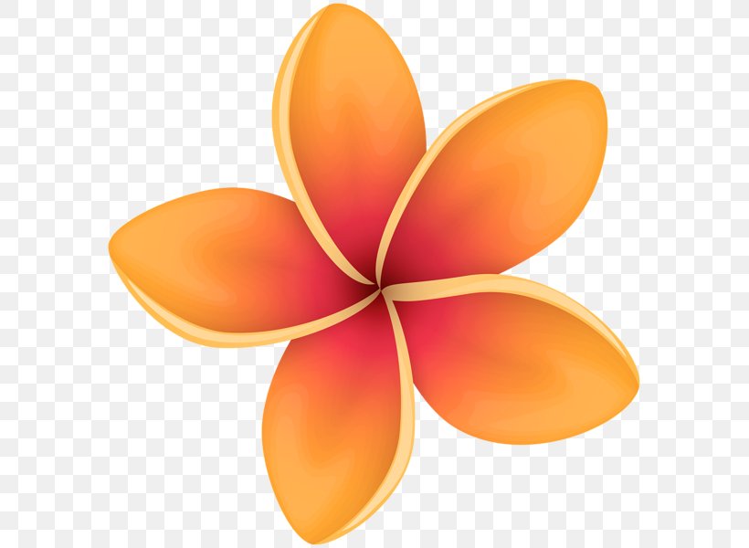 Image Flower Clip Art Petal, PNG, 589x600px, Flower, Art, Art Museum, Artist, Color Download Free