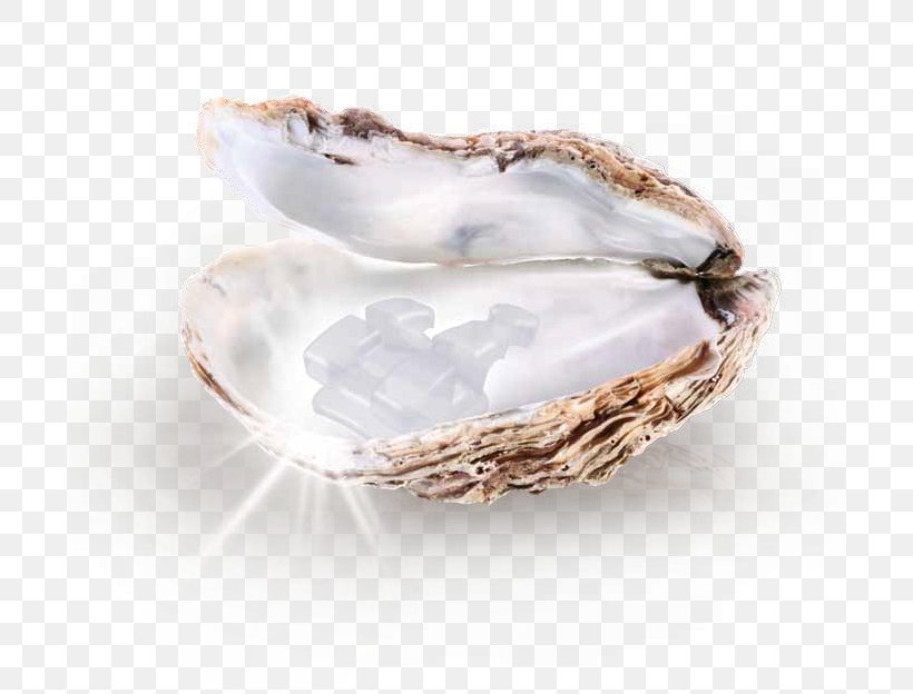 The Pearl Gemstone Pinctada Maxima Cultured Pearl, PNG, 700x624px, Pearl, Birthstone, Bowl, Choker, Clam Download Free