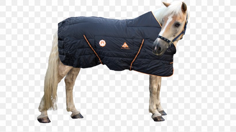 Horse Blanket Horse Blanket Electric Blanket Equestrian, PNG, 1280x720px, Horse, Blanket, Bridle, Carpet, Cdiscount Download Free