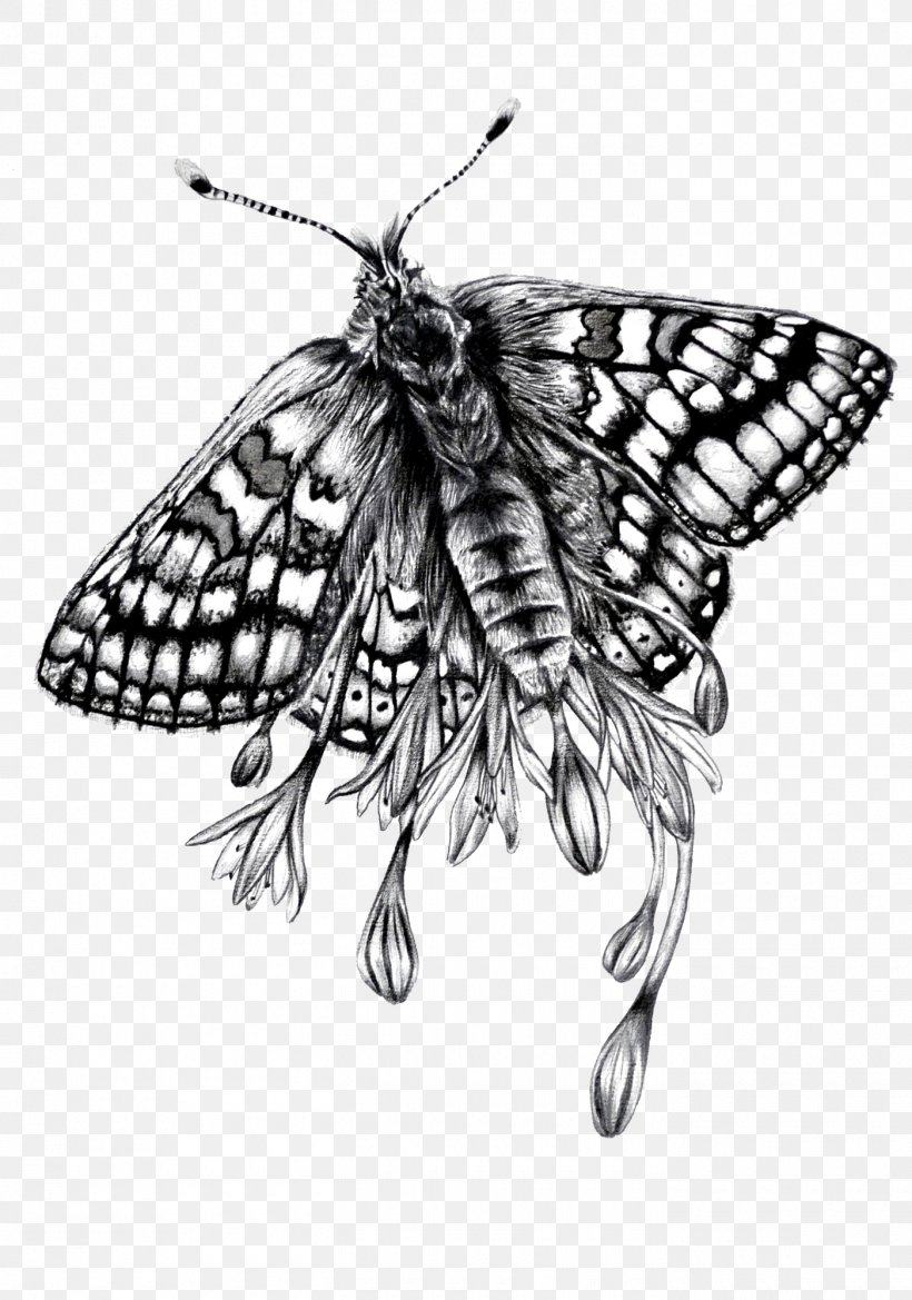 Monarch Butterfly Paper Brush-footed Butterflies Moth Drawing, PNG, 1400x1997px, Monarch Butterfly, Acrylic Paint, Art, Arthropod, Artist Download Free