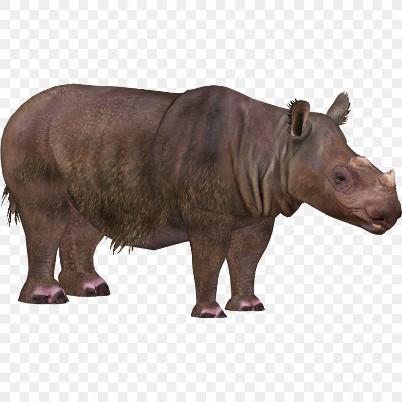 Northern Sumatran Rhinoceros Kaziranga National Park Indian Rhinoceros, PNG, 955x955px, Rhinoceros, Animal, Animal Figure, Elephant, Endangered Species Download Free