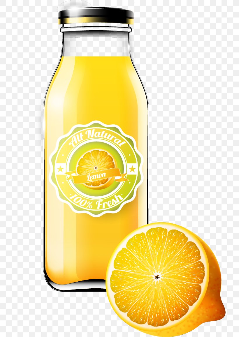 Orange Juice Orange Drink Bottle, PNG, 728x1157px, Orange Juice, Auglis, Bottle, Citric Acid, Citrus Xd7 Sinensis Download Free