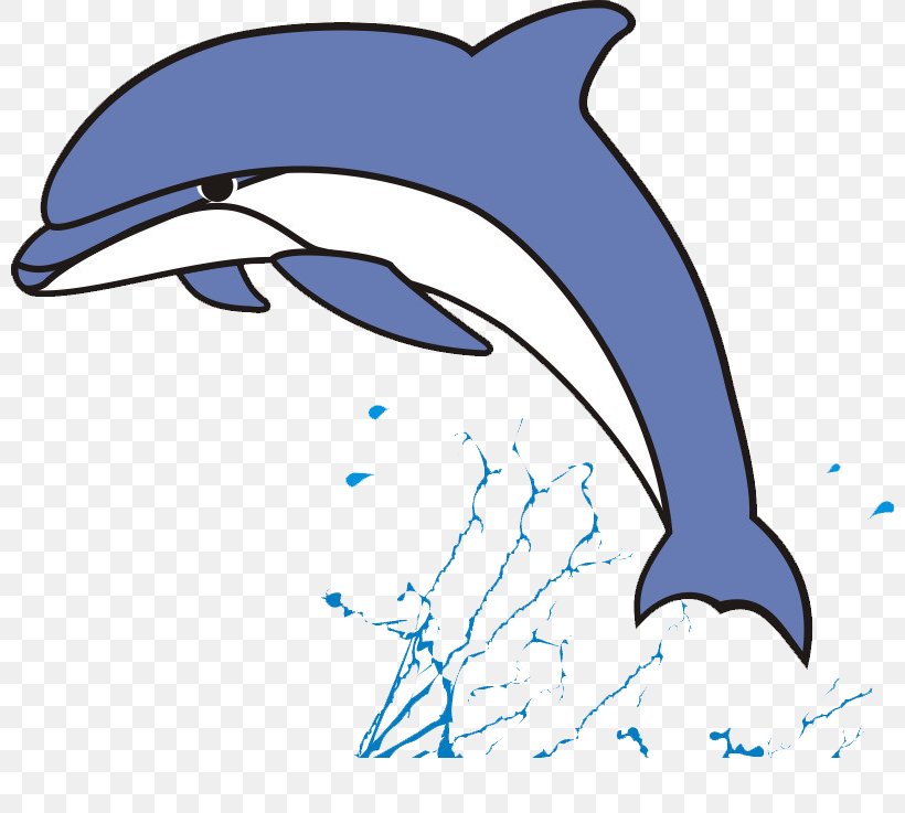 Short-beaked Common Dolphin Common Bottlenose Dolphin Tucuxi Wholphin, PNG, 800x737px, Shortbeaked Common Dolphin, Animal, Common Bottlenose Dolphin, Common Dolphin, Dolphin Download Free