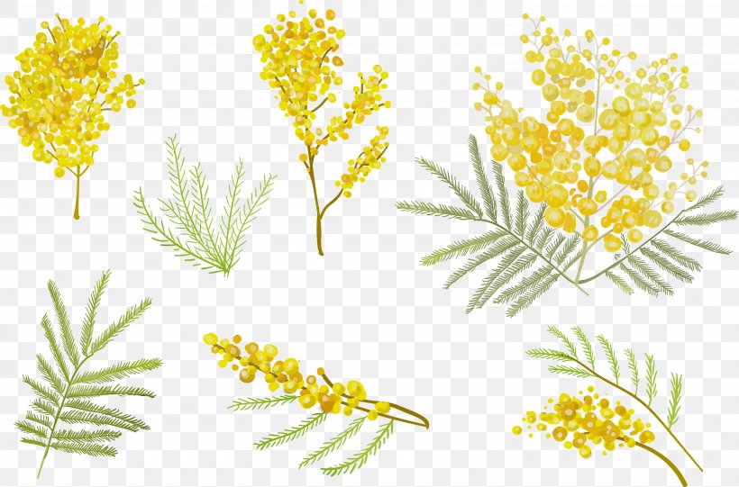 Yellow Flower Plant Flowering Plant Pedicel, PNG, 3000x1982px, Watercolor, Flower, Flowering Plant, Goldenrod, Herbaceous Plant Download Free
