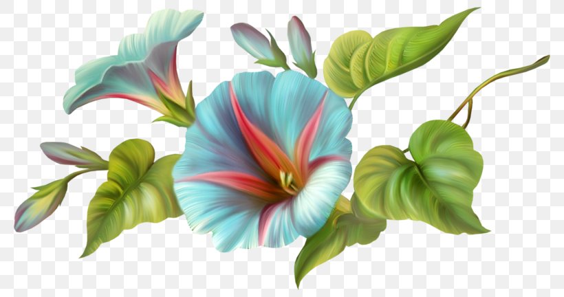 Albom Clip Art, PNG, 800x432px, Albom, Blog, Cut Flowers, Flower, Flowering Plant Download Free