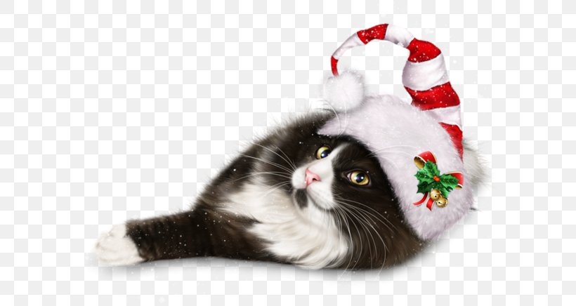 Cat Whiskers Kitten Christmas Ornament Christmas Day, PNG, 600x436px, Cat, Cat Like Mammal, Christmas, Christmas Day, Christmas Decoration Download Free