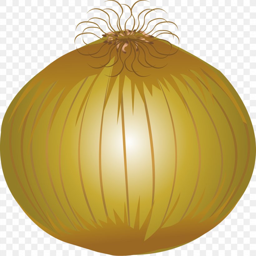 Garlic Cartoon Download, PNG, 1822x1820px, Garlic, Calabaza, Cartoon, Fruit, Gratis Download Free