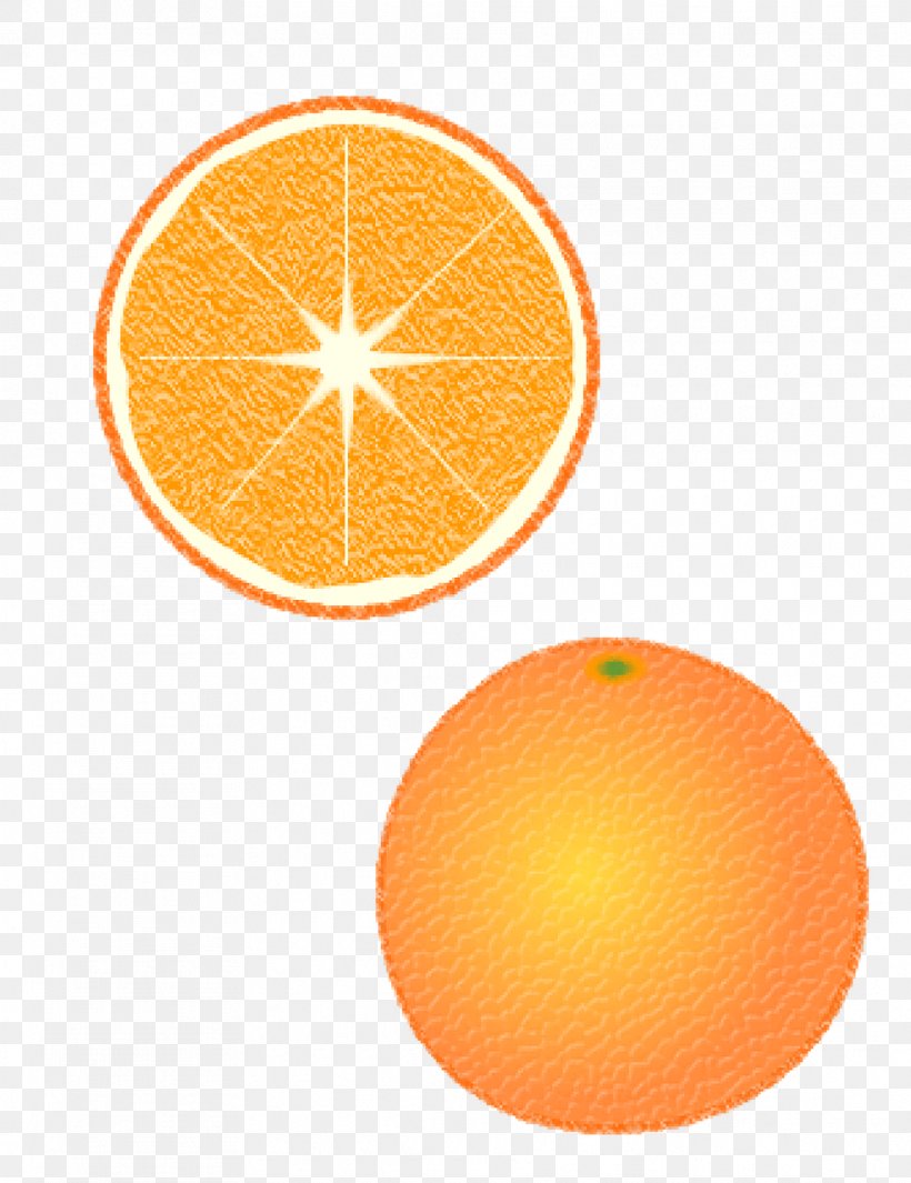 Mandarin Orange Grapefruit Road Building Vehicles Crew, PNG, 985x1280px, Orange, Citric Acid, Citrus, Citrus Fruit, Clementine Download Free