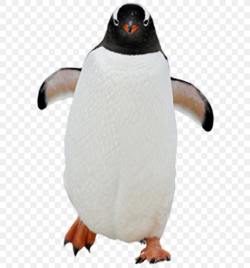 Penguin Kowalski Clip Art Skipper, PNG, 600x876px, Penguin, Animal Figure, Beak, Bird, Emperor Penguin Download Free
