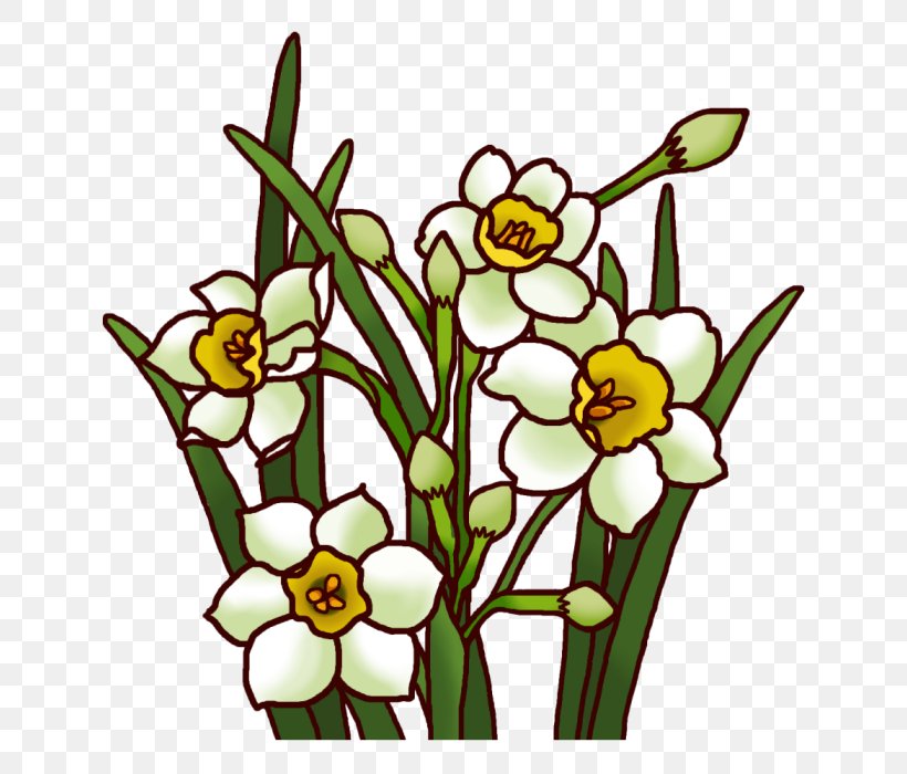 Daffodil White National Primary School Winter Color, PNG, 700x700px, Daffodil, Color, Cut Flowers, Flora, Floral Design Download Free