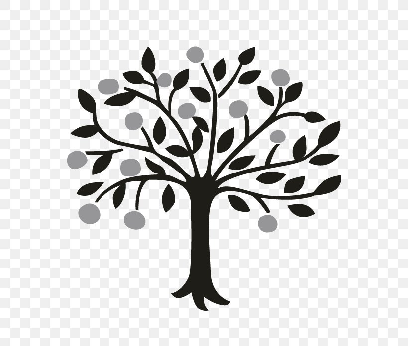 Draw Trees Drawing Bay Laurel Lemon, PNG, 696x696px, Tree, Bay Laurel, Black And White, Branch, Draw Trees Download Free