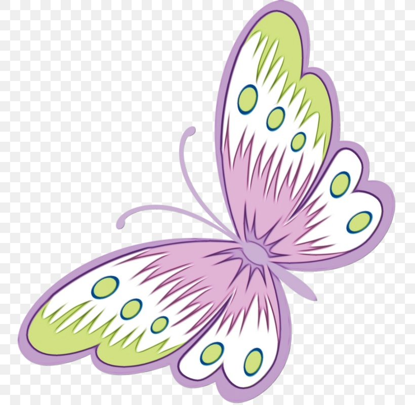 Butterfly M / 0d Design Cartoon Text, PNG, 752x800px, Watercolor, Butterfly, Cartoon, Green, Leaf Download Free