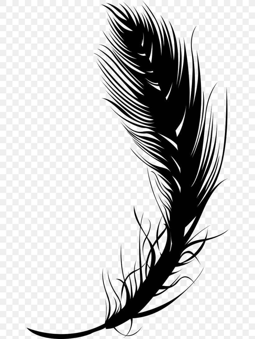 Feather Quill Black, PNG, 650x1090px, Feather, Bird, Black, Black And White, Eyelash Download Free