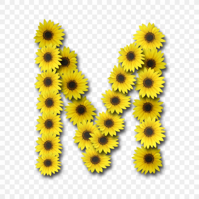 Letter Case Alphabet Common Sunflower, PNG, 1200x1200px, Letter, Alphabet, Common Sunflower, Daisy Family, English Alphabet Download Free