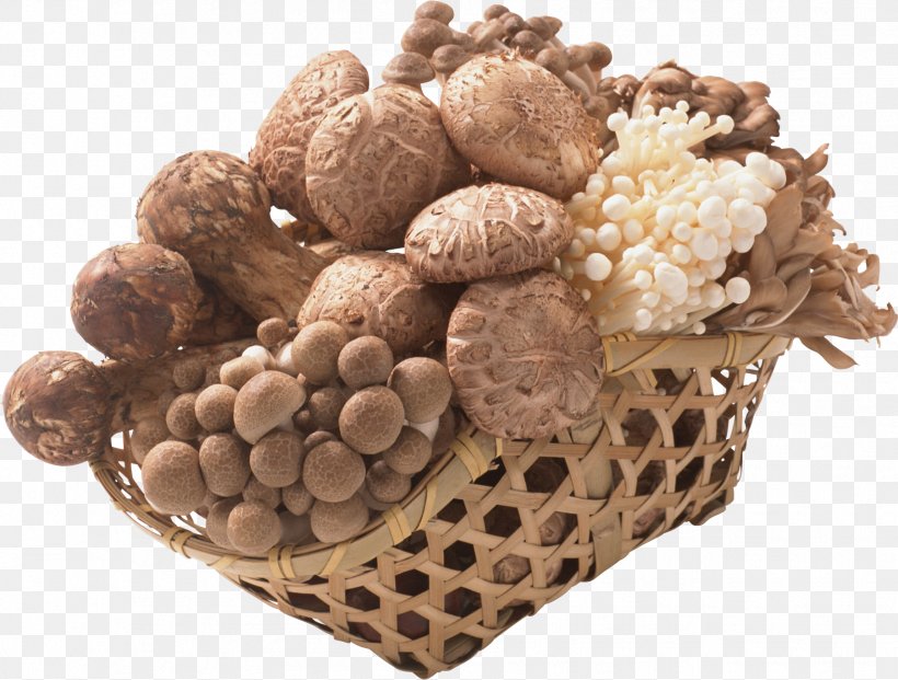 Mushroom Fungus, PNG, 1802x1366px, Mushroom, Basket, Consumers Cooperative, Food, Fungus Download Free