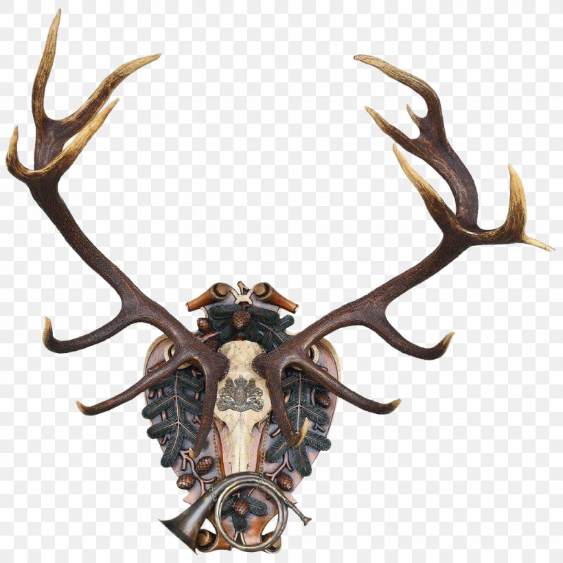 Red Deer Antler Reindeer Germany, PNG, 1024x1024px, Red Deer, Antler, Deer, Deer Hunting, Fallow Deer Download Free