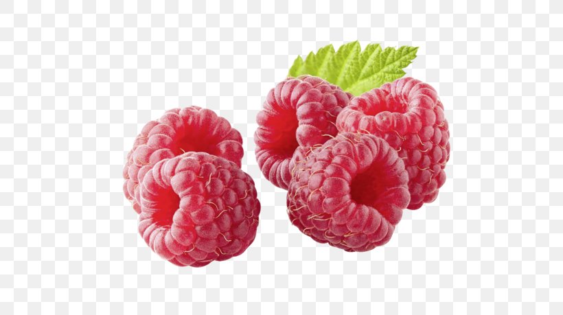 Red Raspberry Drawing Image Unsere Heimat, PNG, 600x459px, Raspberry, Berries, Berry, Drawing, Food Download Free