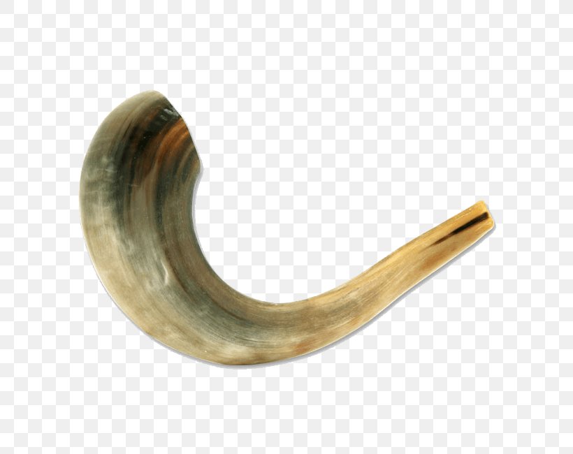 Shofar Sheep Kuduhorn Rosh Hashanah, PNG, 650x650px, Shofar, Blowing Horn, Brass, Horn, Kudu Download Free