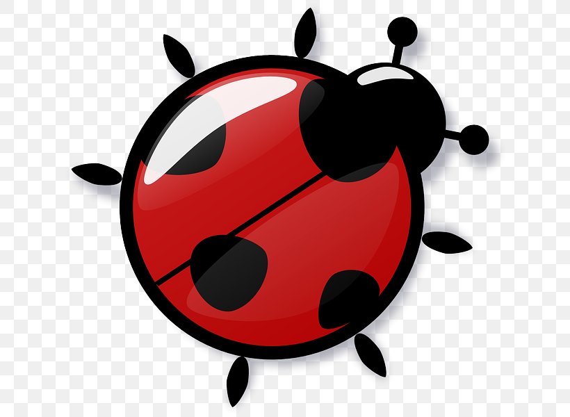 Cockroach Beetle Ladybird Pest Control, PNG, 640x600px, Cockroach, Artwork, Bed Bug, Beetle, Earwig Download Free