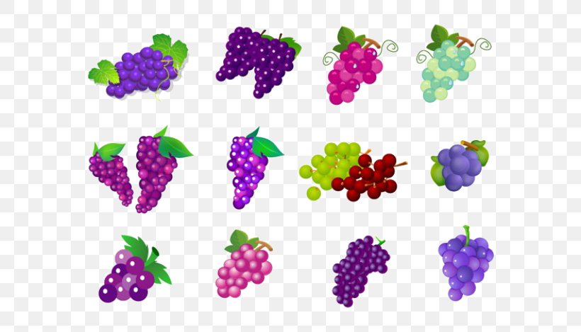 Common Grape Vine Wine Clip Art, PNG, 626x469px, Common Grape Vine, Flower, Flowering Plant, Fruit, Grape Download Free
