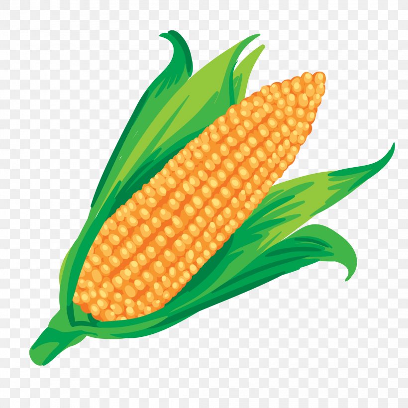 Maize Vegetable Corn On The Cob, PNG, 2083x2083px, Maize, Commodity, Corn Kernel, Corn On The Cob, Drawing Download Free
