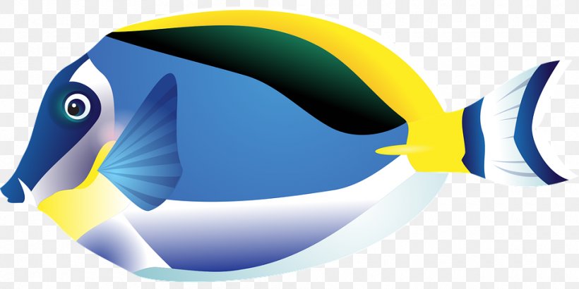 Tropical Fish Drawing Clip Art, PNG, 960x480px, Tropical Fish, Beak, Blue, Coral Reef Fish, Drawing Download Free