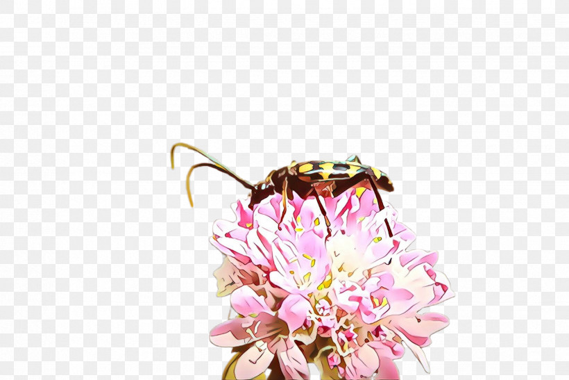 Bumblebee, PNG, 2448x1635px, Insect, Bee, Bumblebee, Flower, Honeybee Download Free