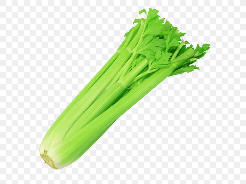 Celery Celeriac Malatang Vegetable Oenanthe Javanica, PNG, 600x613px, Celery, Apiaceae, Apium, Calorie, Capsicum Annuum Download Free