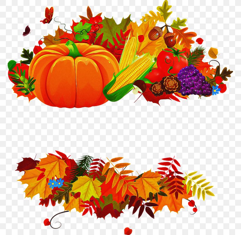 Pumpkin, PNG, 767x800px, Leaf, Autumn, Natural Foods, Plant, Pumpkin Download Free