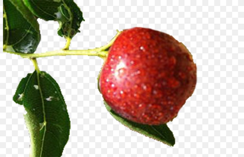 Strawberry Jujube Fruit Auglis, PNG, 800x530px, Strawberry, Accessory Fruit, Apple, Auglis, Berry Download Free