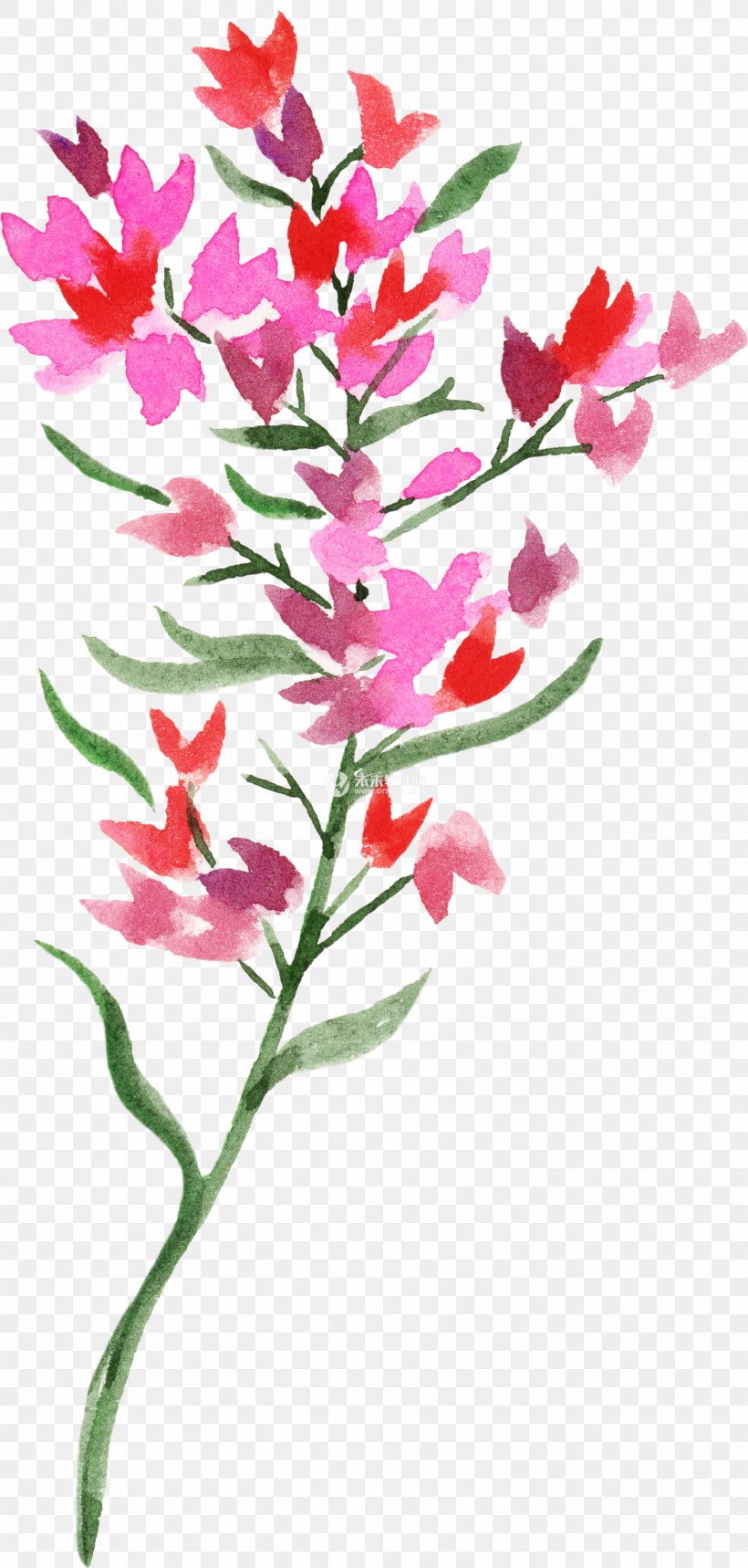 Watercolor Painting Floral Design Flower Image, PNG, 1408x2950px, Watercolor Painting, Branch, Cut Flowers, Flora, Floral Design Download Free
