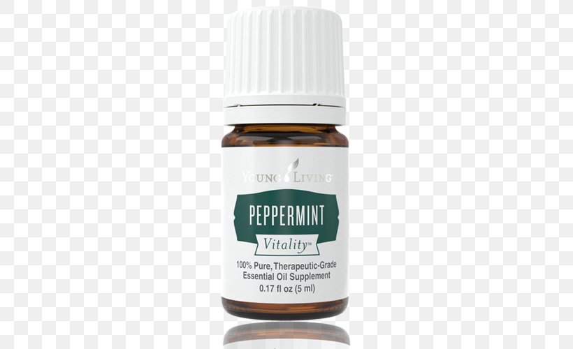 English Lavender Young Living Peppermint Essential Oil, PNG, 500x500px, English Lavender, Bergamot Orange, Essential Oil, Flavor, Food Download Free